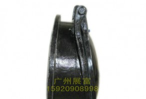 DN1000复合材料拍门侧面图